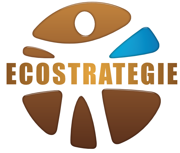 ECOSTRATEGIE