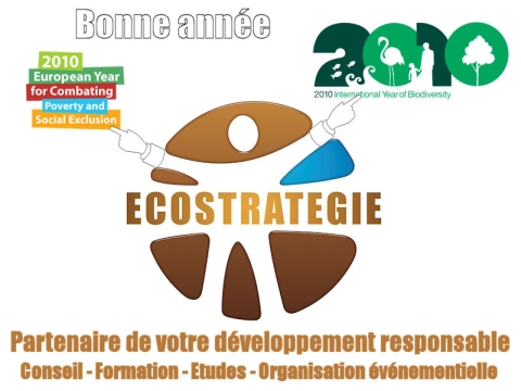 Carte de voeux d'ECOSTRATEGIE 2010