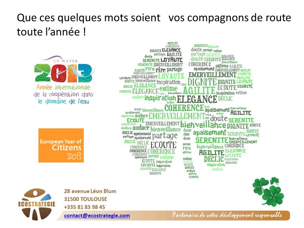 Carte de voeux d'ECOSTRATEGIE 2013